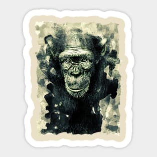 Beautiful Chimpanzee Sticker